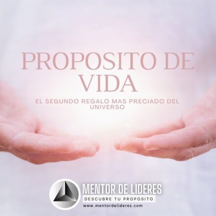 ¿Que es Mentor de Lideres?