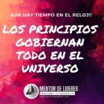 Los Doce Principios de Tu Vida