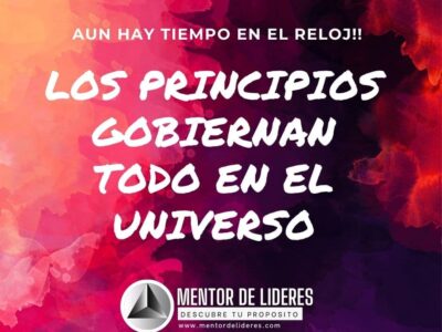 Los Doce Principios de Tu Vida