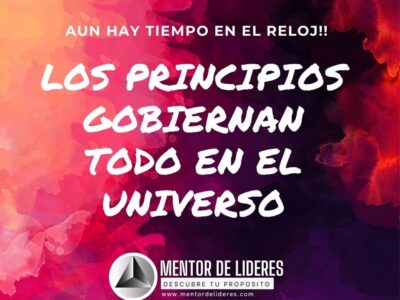 Los Doce Principios de Tu Vida